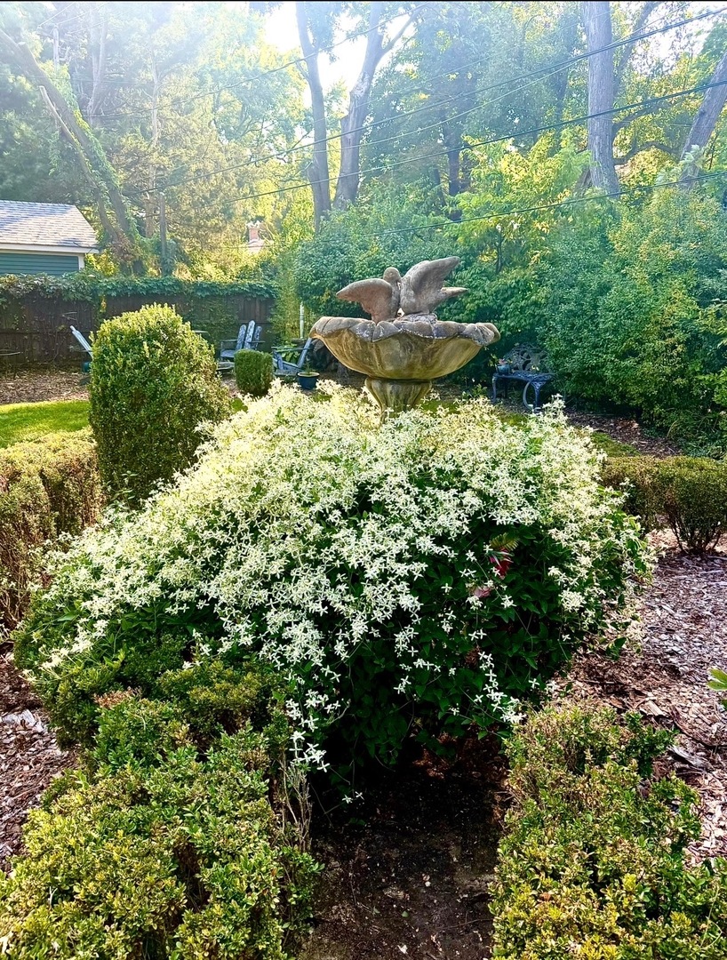 640 Anderson Boulevard Geneva, IL 60134 - Photo 40 of 41 a view of a backyard of the house