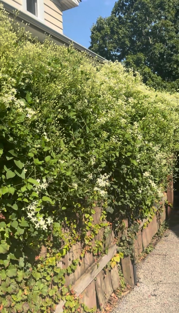 640 Anderson Boulevard Geneva, IL 60134 - Photo 41 of 41 a view of a yard with plants