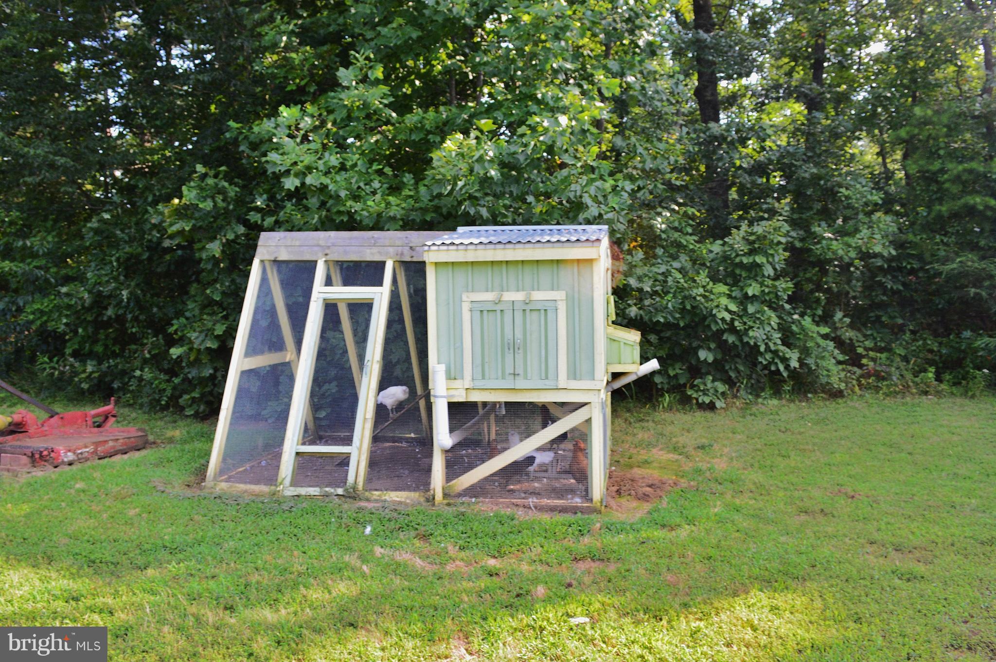 9015 Old Stillhouse Road Rixeyville, VA 22737 - Photo 19 of 21 a view of backyard with small cabin