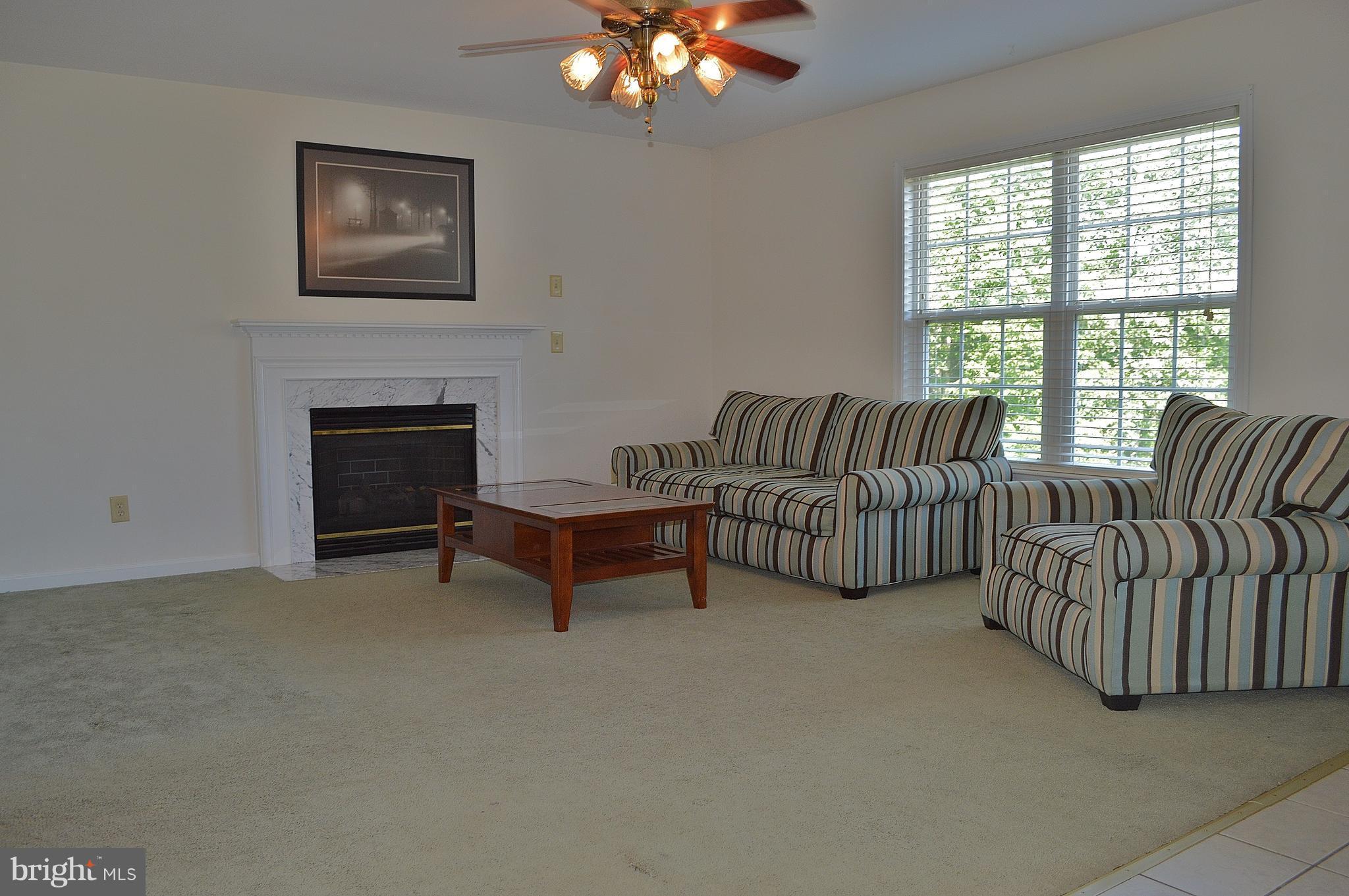 9015 Old Stillhouse Road Rixeyville, VA 22737 - Photo 4 of 21 a living room with furniture and a fireplace