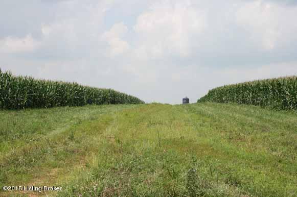 763 Drennon Road New Castle, KY 40050 - Photo 26 of 32 IMG_5450