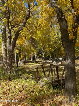 a view of yard with green space