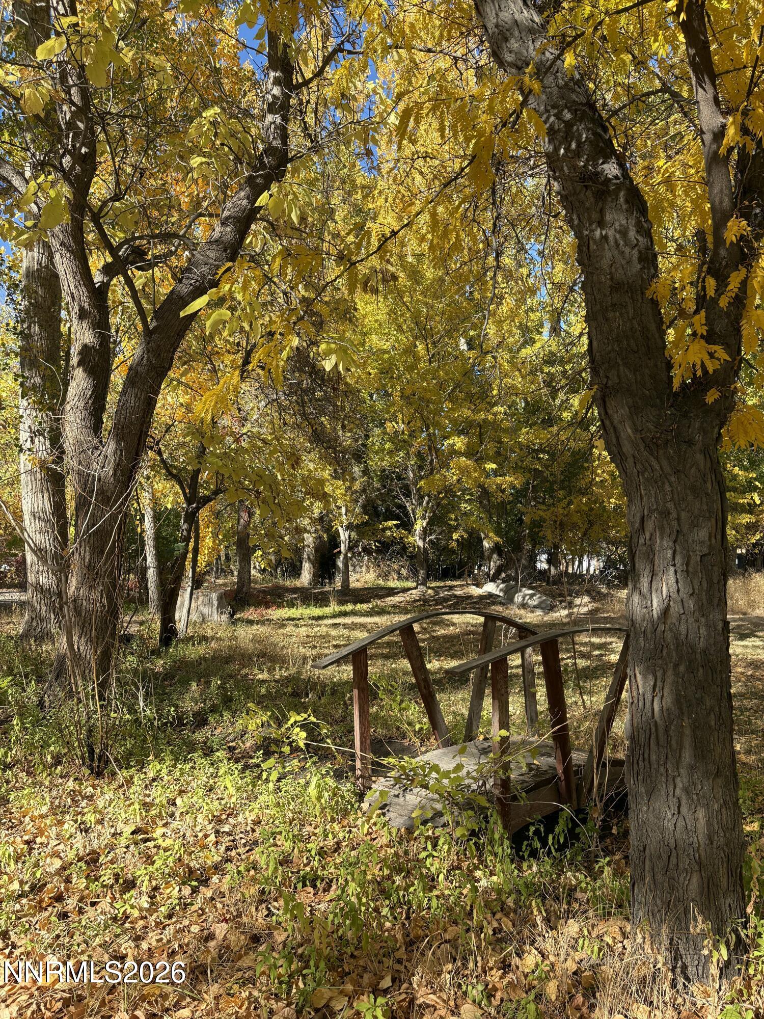 4755 Alcorn Road Fallon, NV 89406 - Photo 17 of 20 IMG_0245 2