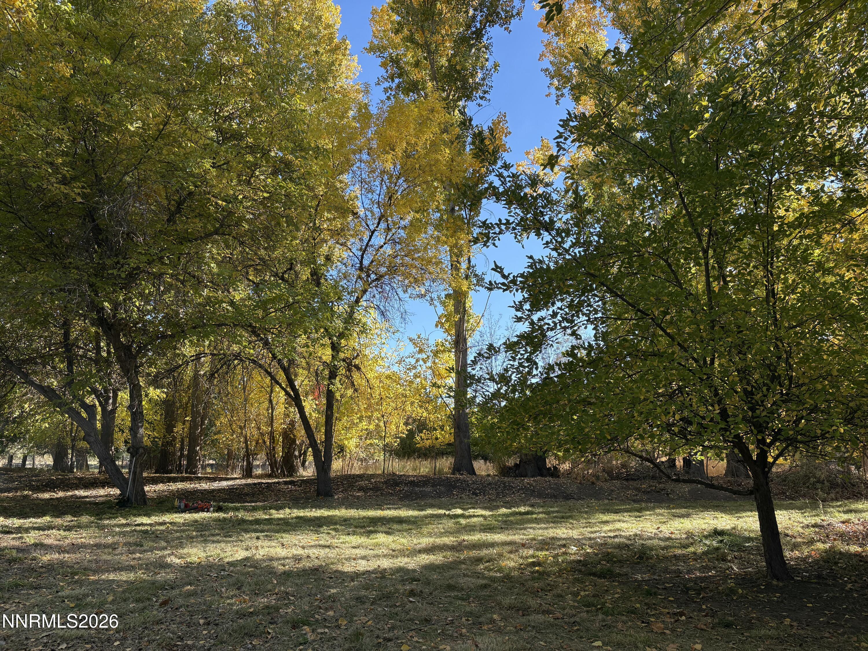 4755 Alcorn Road Fallon, NV 89406 - Photo 18 of 20 IMG_0254 2