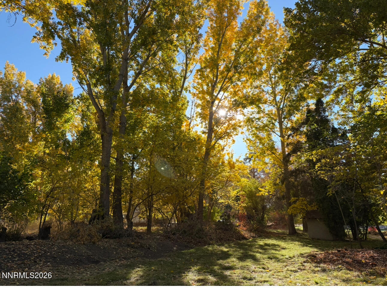 4755 Alcorn Road Fallon, NV 89406 - Photo 20 of 20 IMG_1392 2