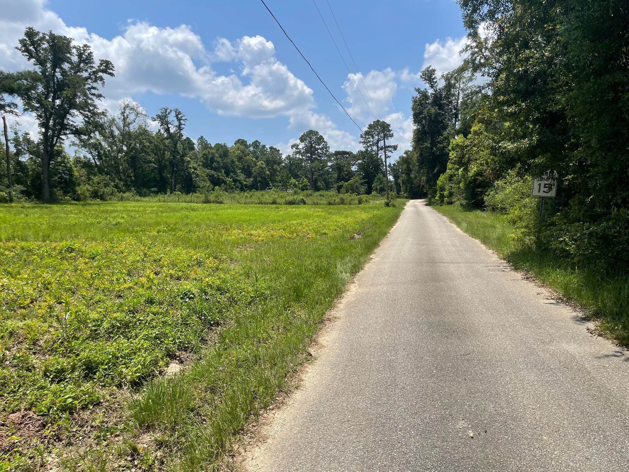 25636 Highway 98 Elberta, AL 36530 - Photo 9 of 24