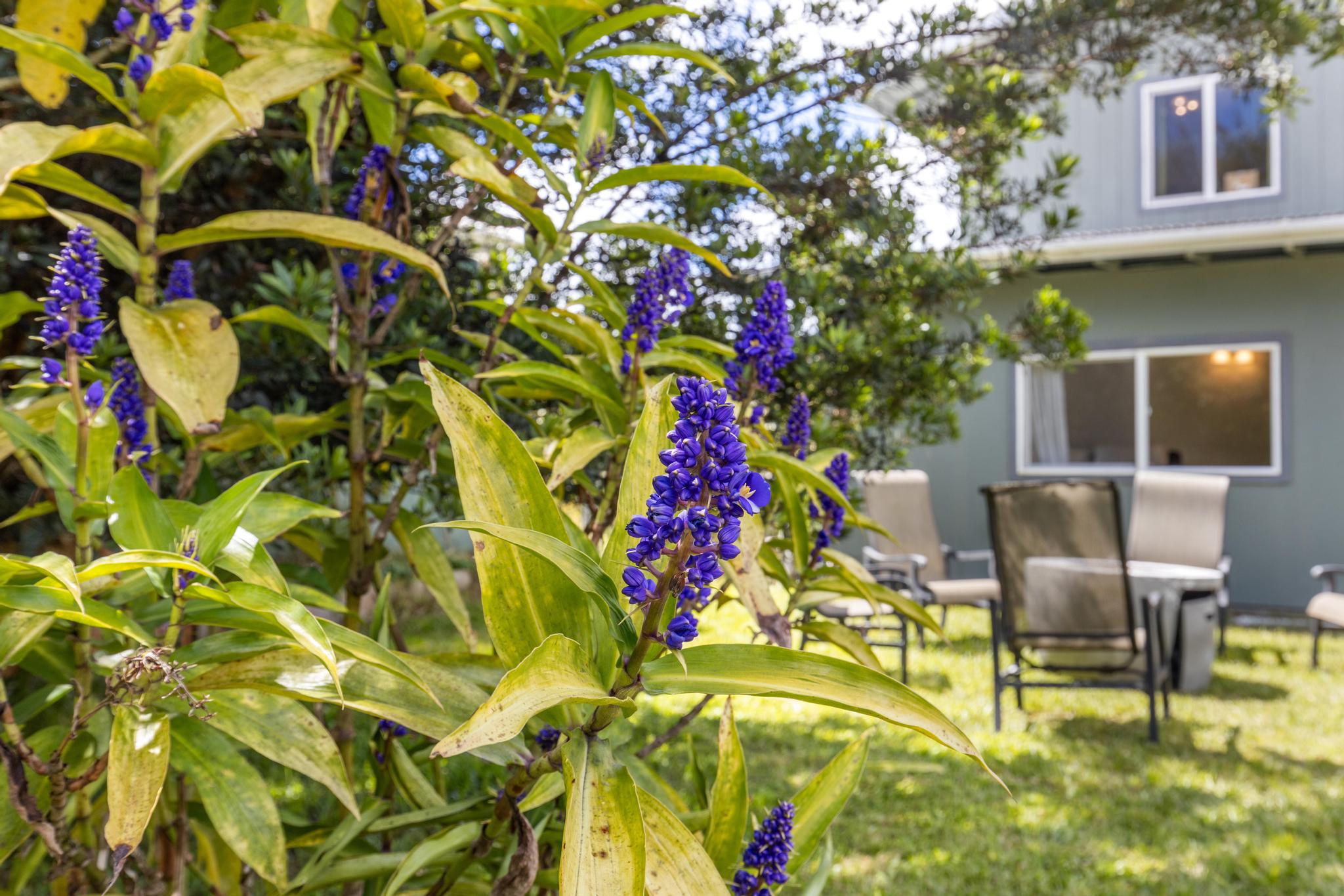 11-3681 Old Volcano Road Volcano, HI 96785 - Photo 12 of 26 a view of a backyard with plants and chairs