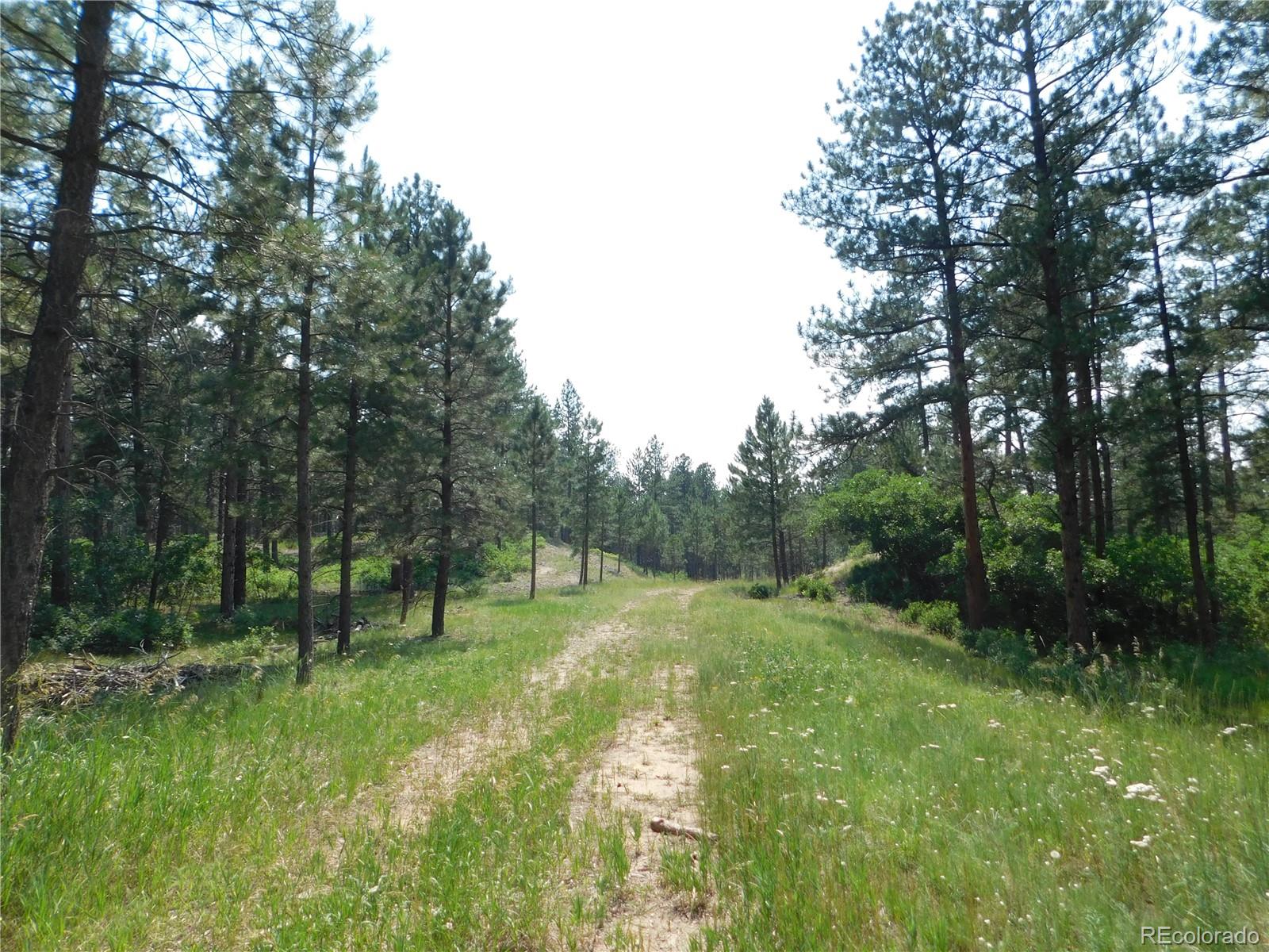 7280 Sable Road, Larkspur, CO 80118 Compass