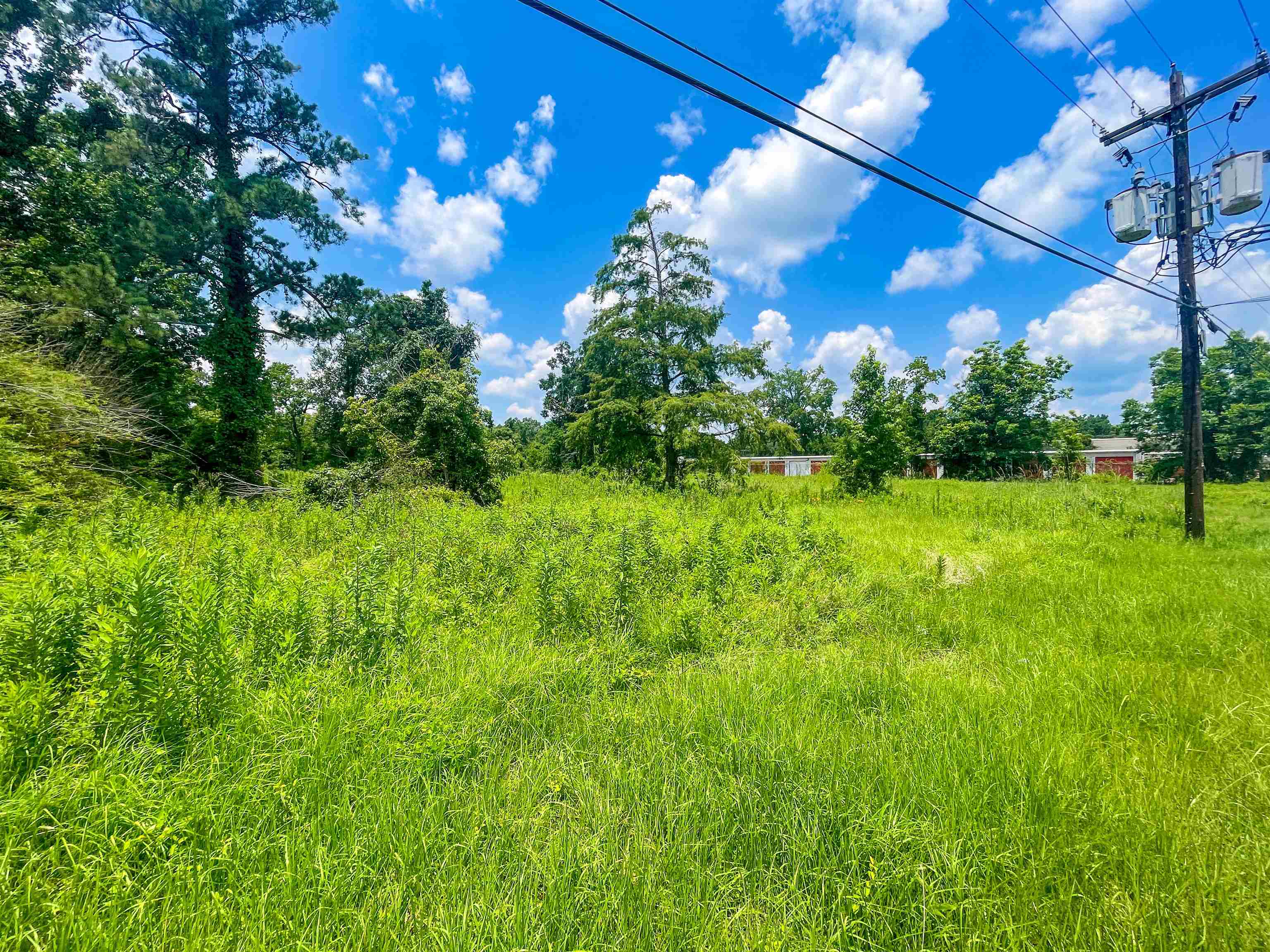 205 South Archie Street Vidor, TX 77662 - Photo 8 of 9
