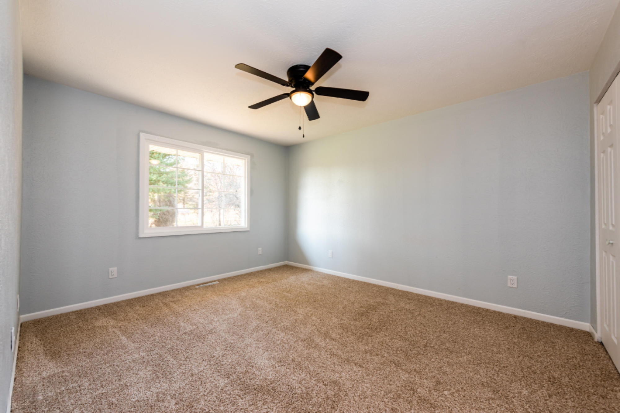 195 Knott Road Niles, MI 49120 - Photo 10 of 26 Knott-116