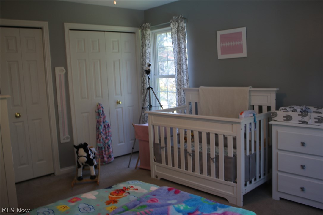 235 Overlook Road Painesville, OH 44077 - Photo 16 of 31 Gallery Image 16
