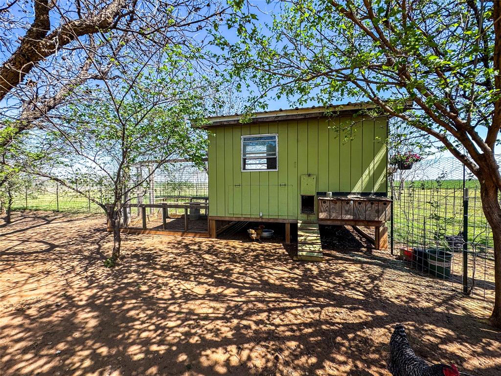 1209 Taylor Avenue Rule, TX 79547 - Photo 20 of 40 a green field covered with tall trees