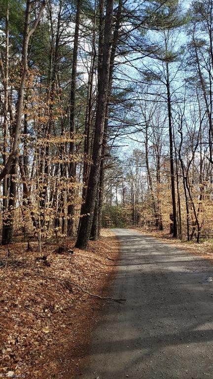 Claude Ratledge Rd through old timber