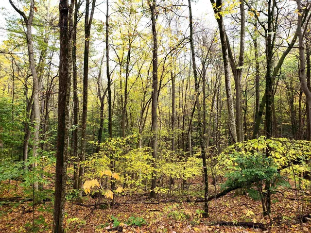 $219,000 | L3 Clendon Brook Road, Unit ADIRONDACK PK, Queensbury, NY 12804