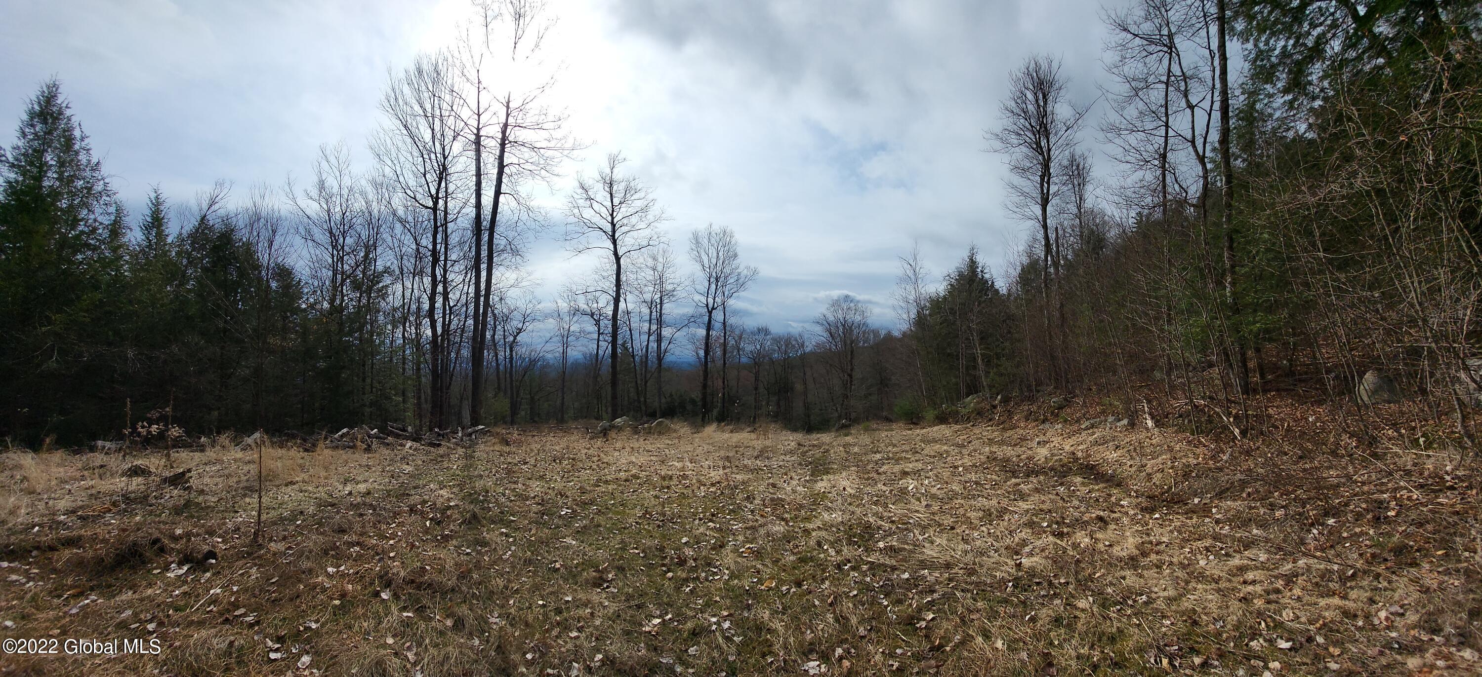 L3 Clendon Brook Road, Unit ADIRONDACK PK Queensbury, NY 12804 - Photo 13 of 23 20220416_094937