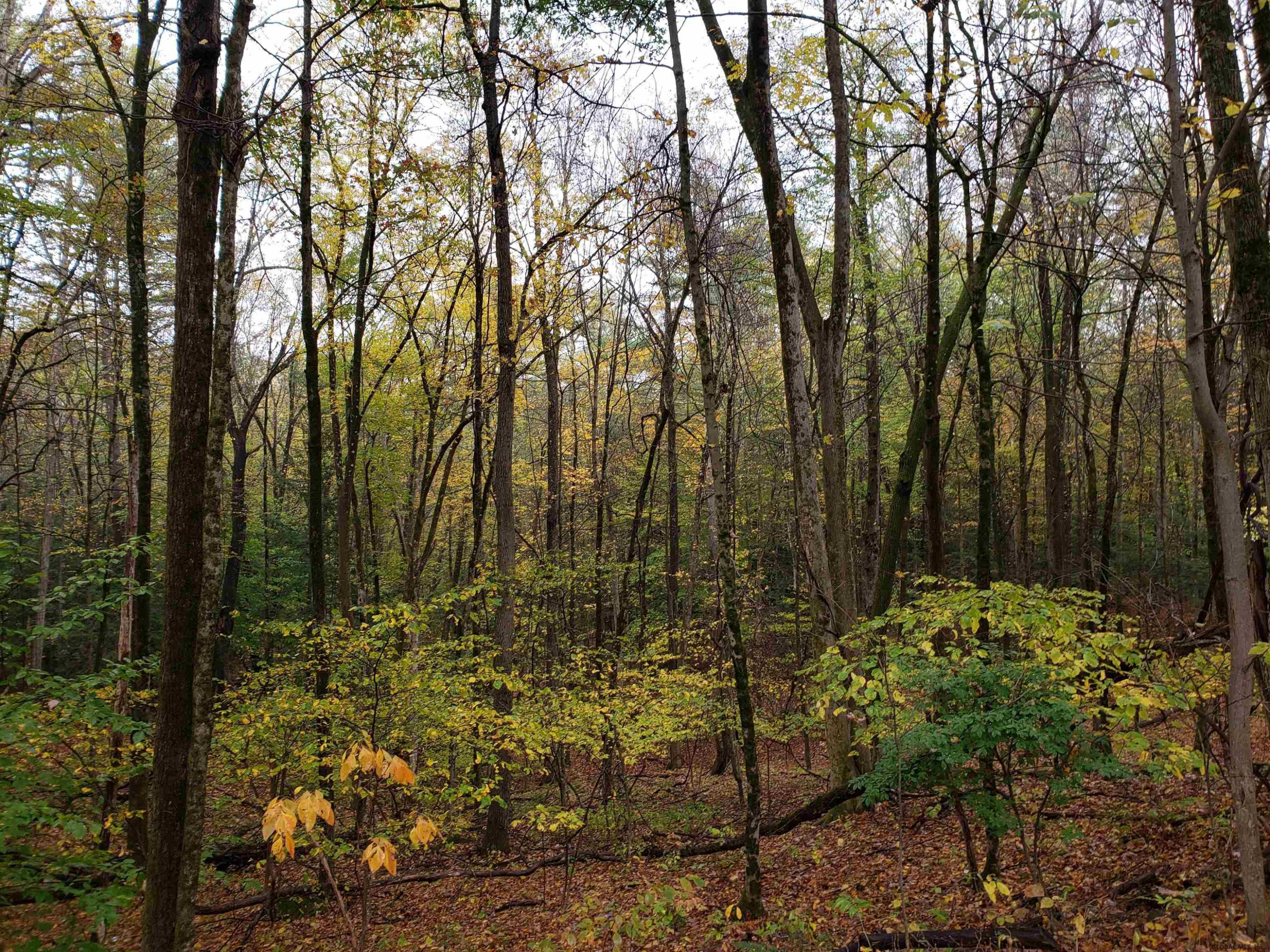 L3 Clendon Brook Road, Unit ADIRONDACK PK Queensbury, NY 12804 - Photo 15 of 23 Photo 19
