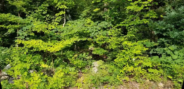 $219,000 | L3 Clendon Brook Road, Unit ADIRONDACK PK, Queensbury, NY 12804