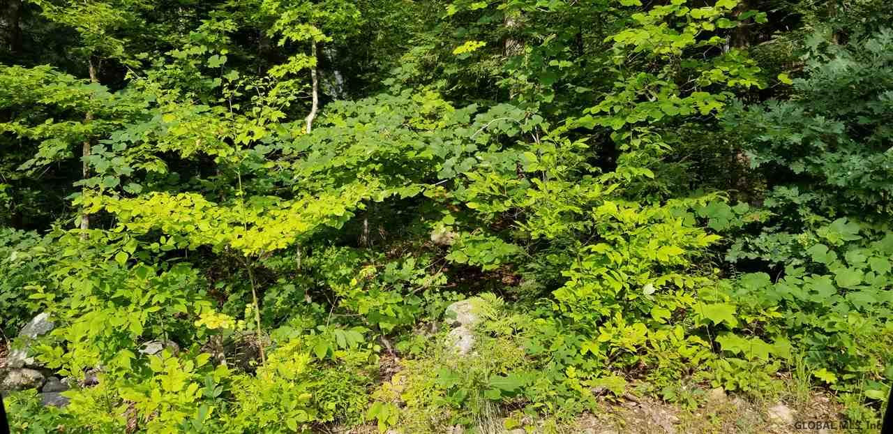 L3 Clendon Brook Road, Unit ADIRONDACK PK Queensbury, NY 12804 - Photo 16 of 23 Photo 9