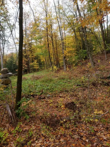 $219,000 | L3 Clendon Brook Road, Unit ADIRONDACK PK, Queensbury, NY 12804