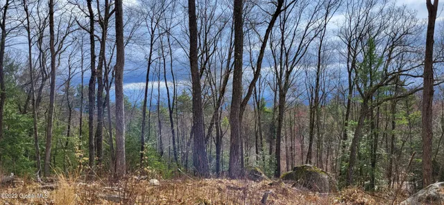 $219,000 | L3 Clendon Brook Road, Unit ADIRONDACK PK, Queensbury, NY 12804