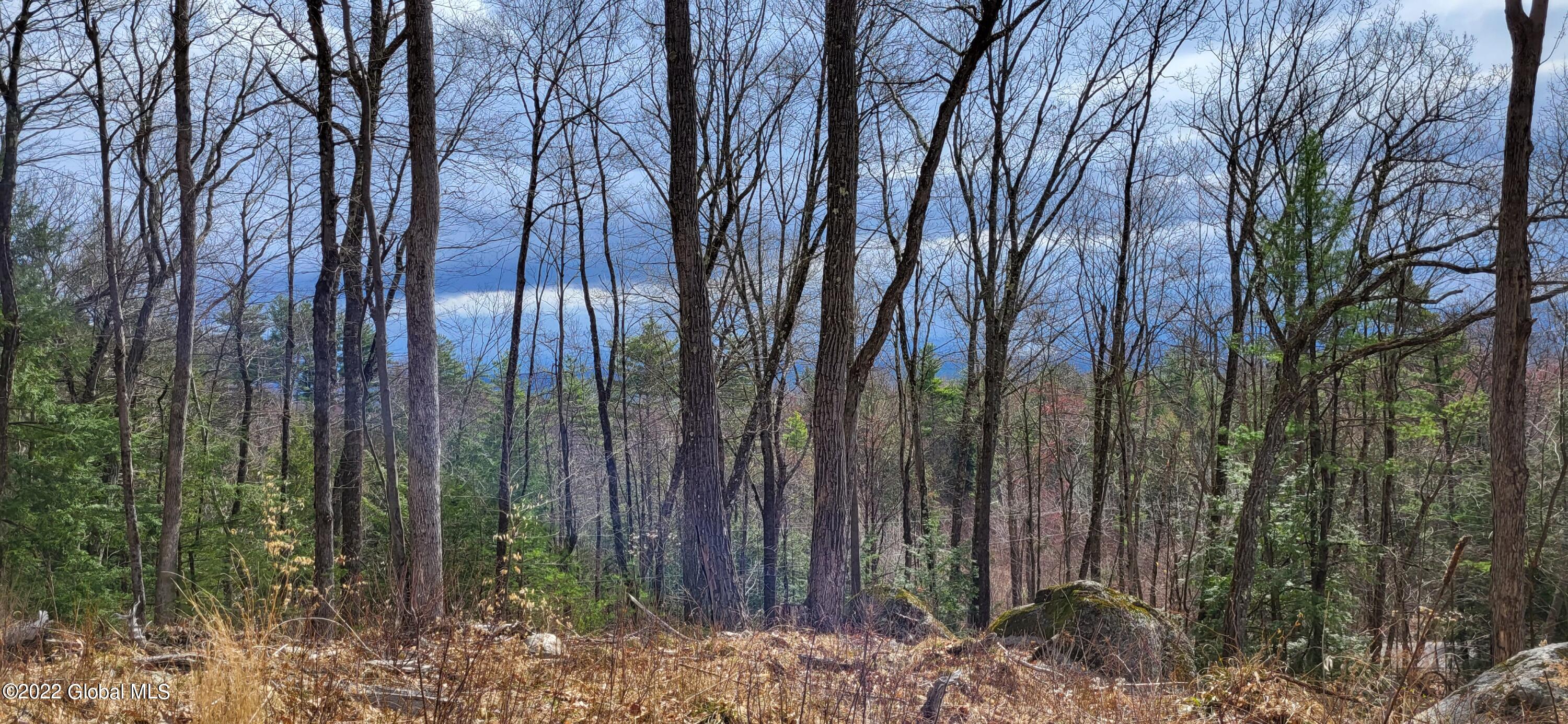 L3 Clendon Brook Road, Unit ADIRONDACK PK Queensbury, NY 12804 - Photo 2 of 23 20220416_095309
