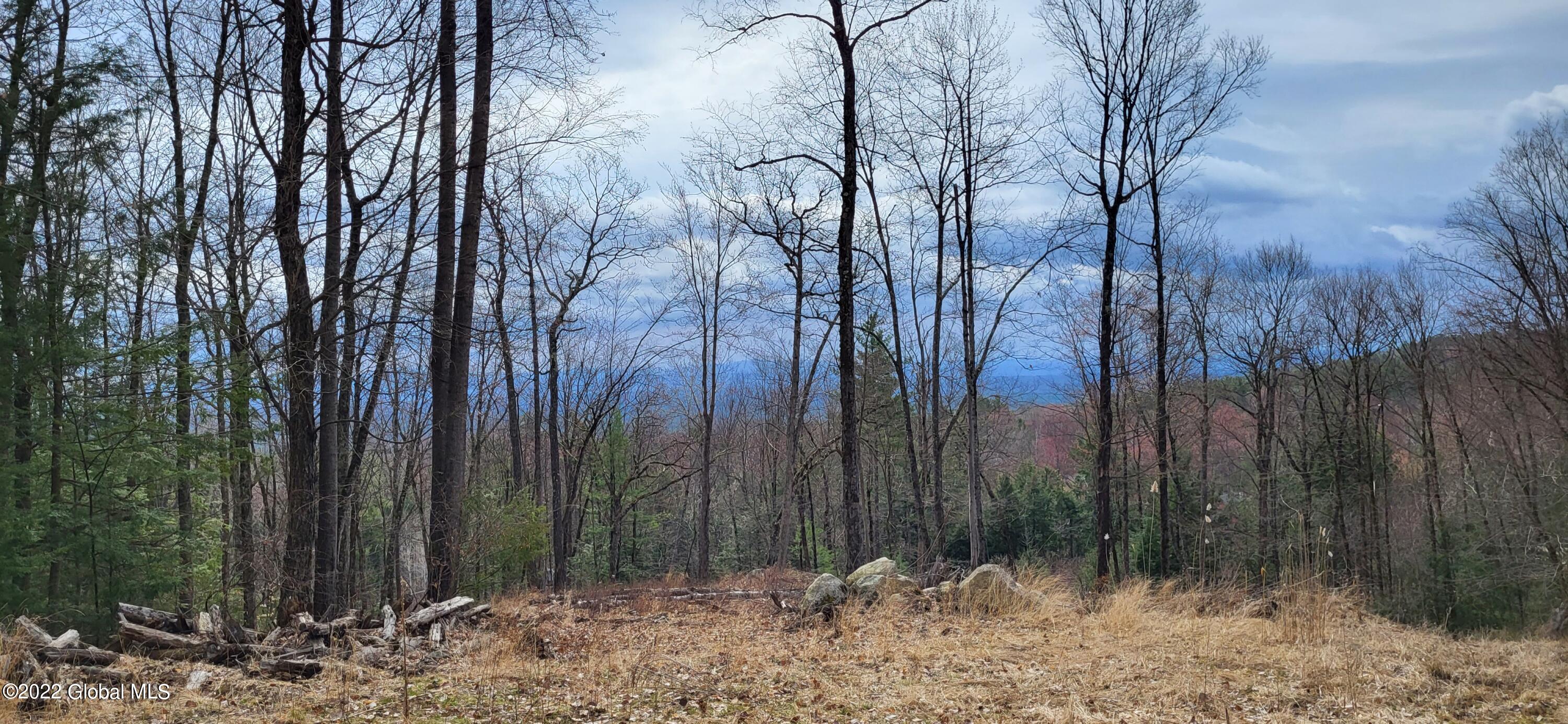 L3 Clendon Brook Road, Unit ADIRONDACK PK Queensbury, NY 12804 - Photo 21 of 23 20220416_094925