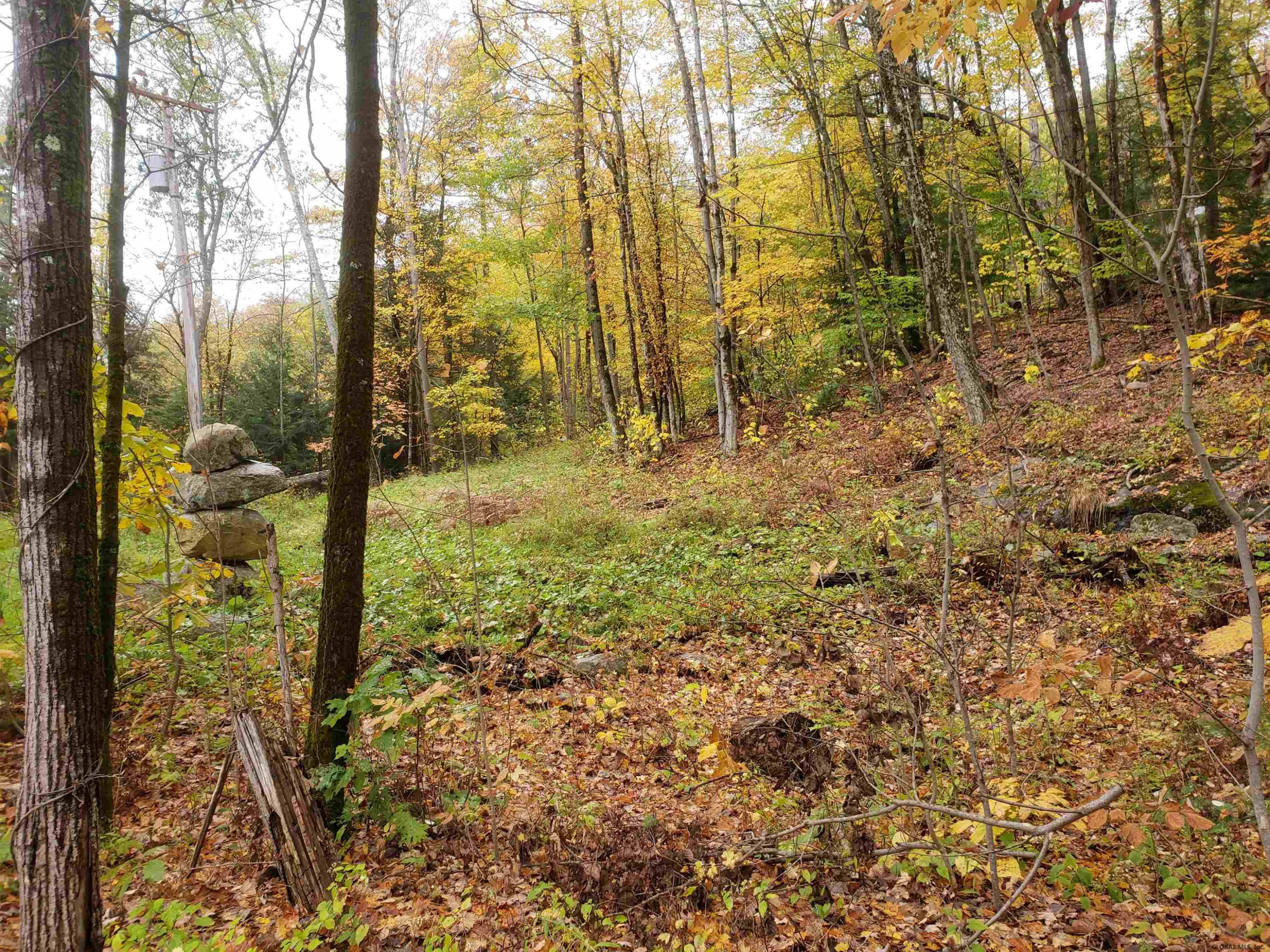 L3 Clendon Brook Road, Unit ADIRONDACK PK Queensbury, NY 12804 - Photo 22 of 23 Photo 20