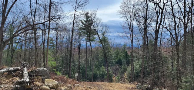 $219,000 | L3 Clendon Brook Road, Unit ADIRONDACK PK, Queensbury, NY 12804