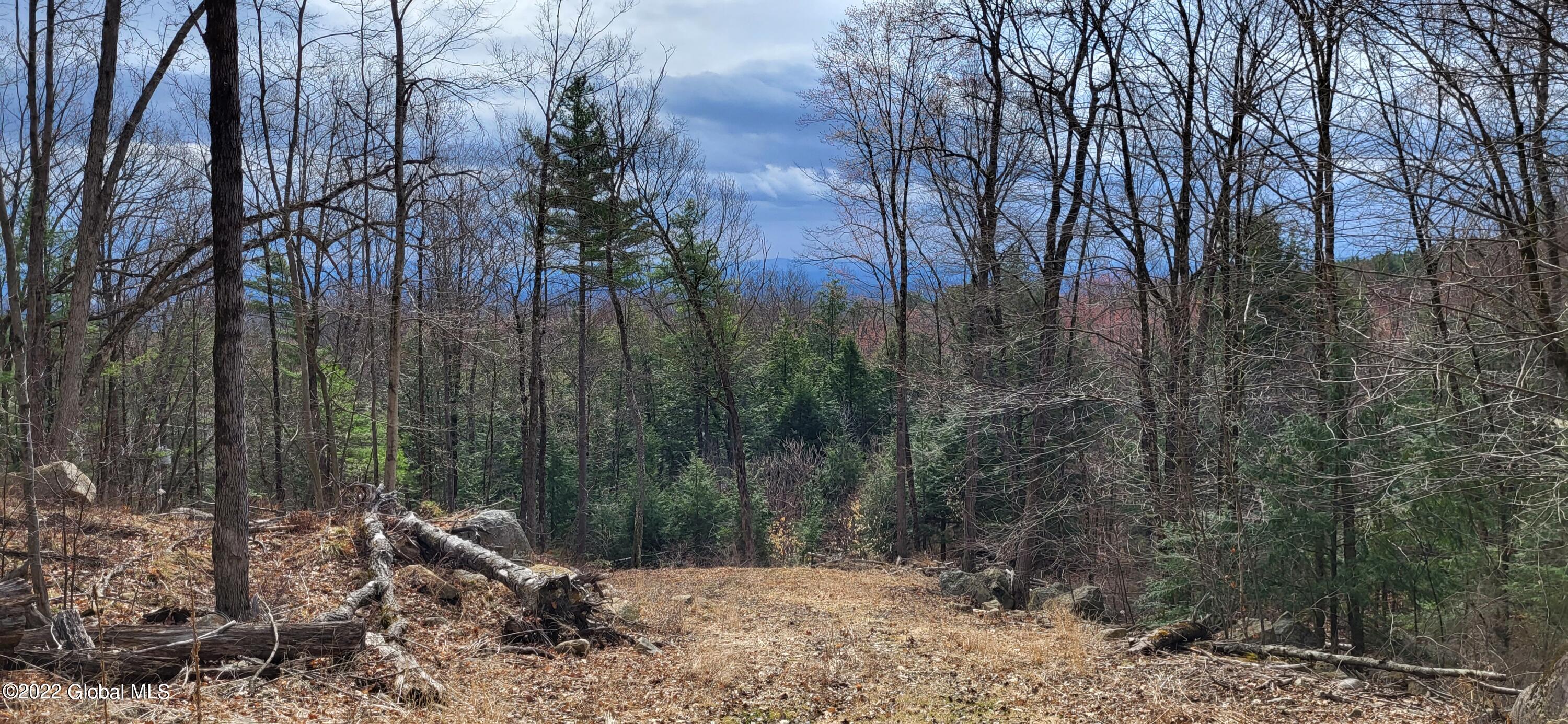 L3 Clendon Brook Road, Unit ADIRONDACK PK Queensbury, NY 12804 - Photo 6 of 23 20220416_095136