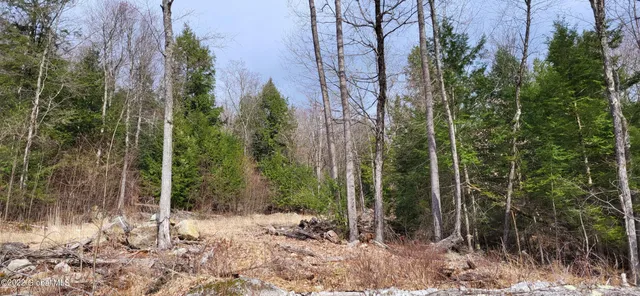 $219,000 | L3 Clendon Brook Road, Unit ADIRONDACK PK, Queensbury, NY 12804