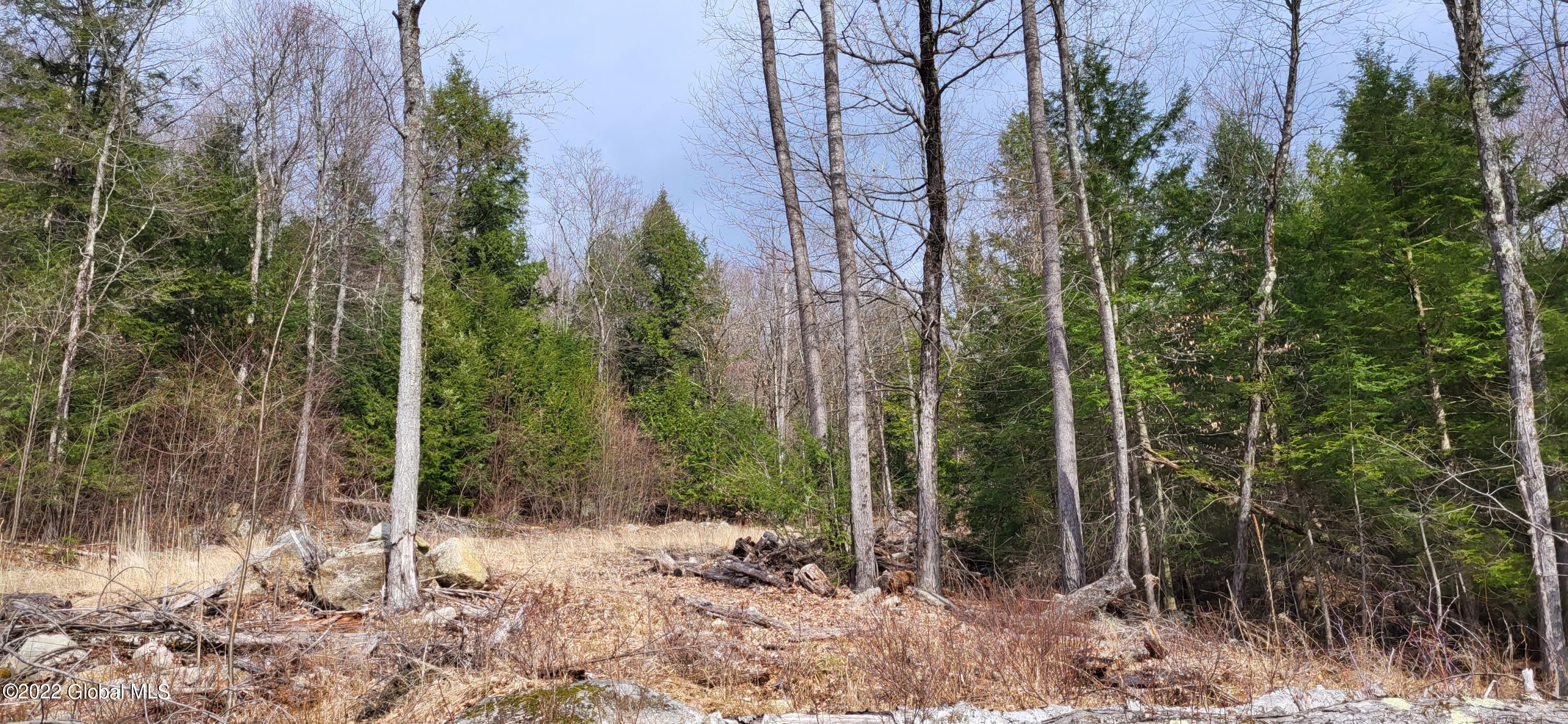 L3 Clendon Brook Road, Unit ADIRONDACK PK Queensbury, NY 12804 - Photo 7 of 23 20220416_095315