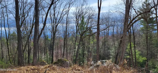 $219,000 | L3 Clendon Brook Road, Unit ADIRONDACK PK, Queensbury, NY 12804