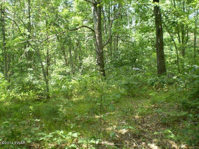 7.6 Humphrey Road Middletown, NY 10940 - Photo 3 of 6