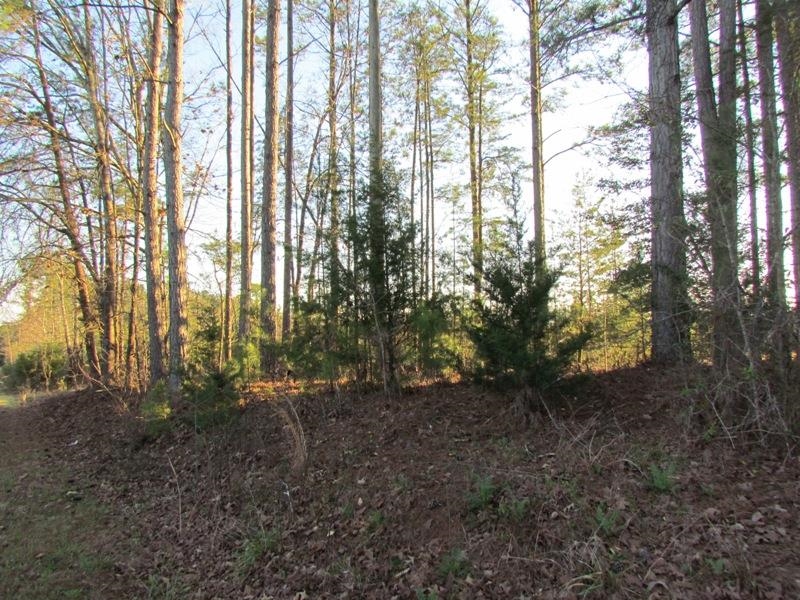 0 Neal Road Spartanburg, SC 29307 - Photo 2 of 14
