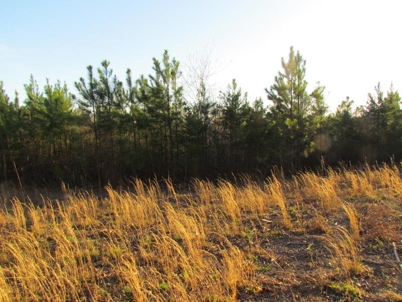 0 Neal Road Spartanburg, SC 29307 - Photo 3 of 14