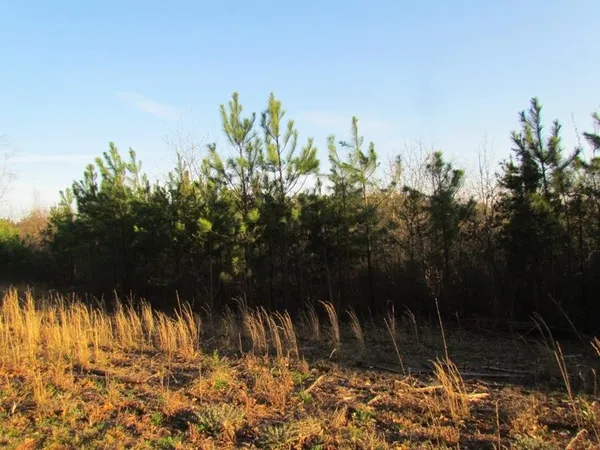 $359,900 | 0 Neal Road, Spartanburg, SC 29307