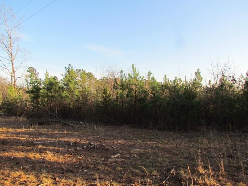 0 Neal Road Spartanburg, SC 29307 - Photo 6 of 14