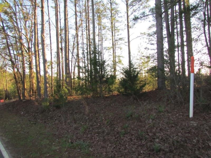 0 Neal Road Spartanburg, SC 29307 - Photo 7 of 14
