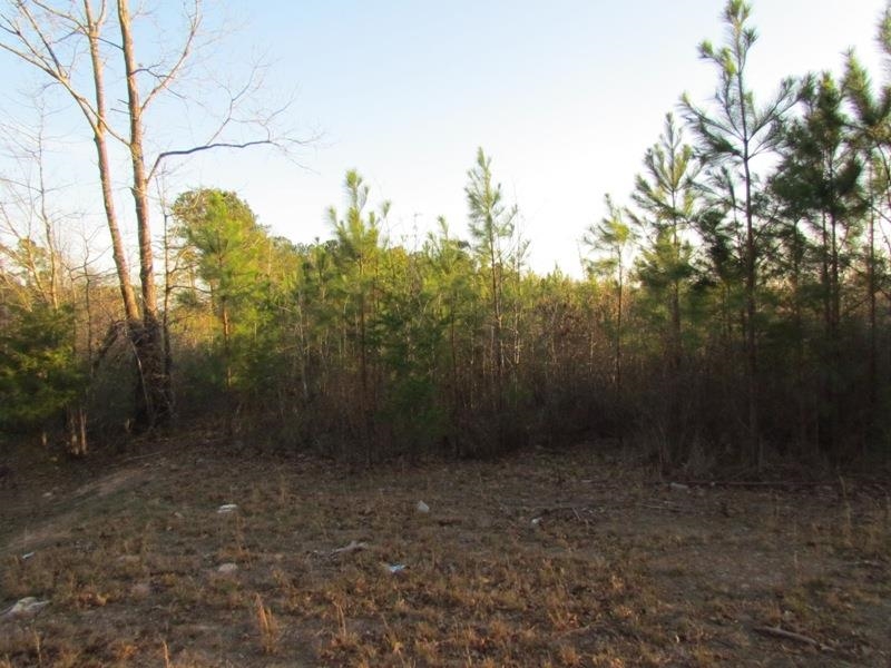 0 Neal Road Spartanburg, SC 29307 - Photo 8 of 14