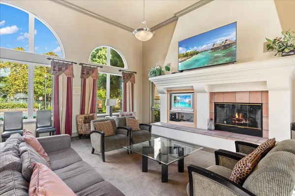 a view of a park with palm trees