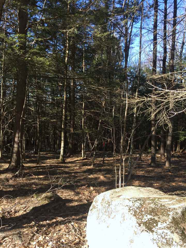 97-1 McCollum Road, Unit 14971 New Boston, NH 03070 - Photo 1 of 1 Gallery Image 1