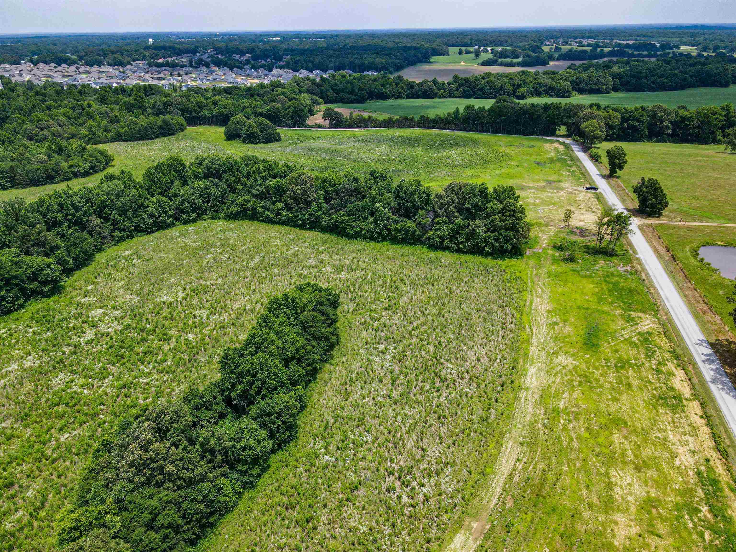 Mebane Oakland, TN 38060 - Photo 7 of 8 an aerial view of a yard with a garden and plants
