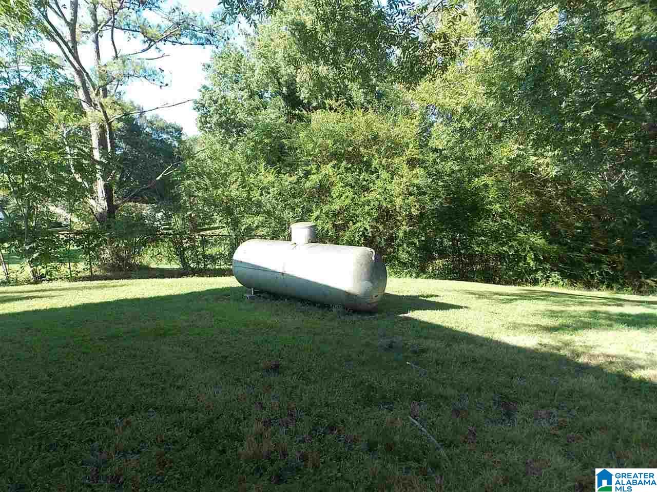 7851 Old Dixiana Road Pinson, AL 35126 - Photo 19 of 20