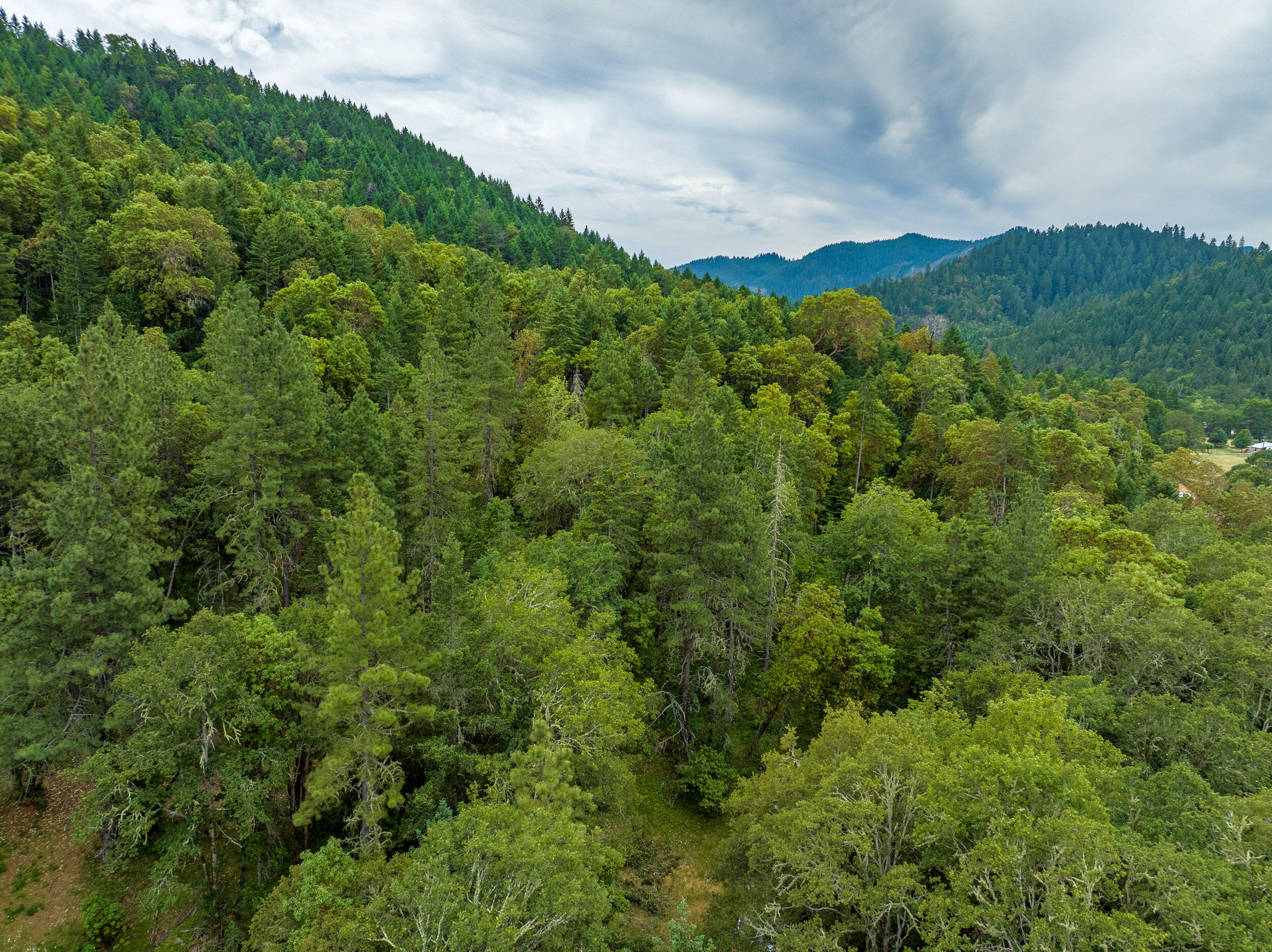 1251 Warner Road Wolf Creek, OR 97497 - Photo 14 of 17 1251WarnerRd-014