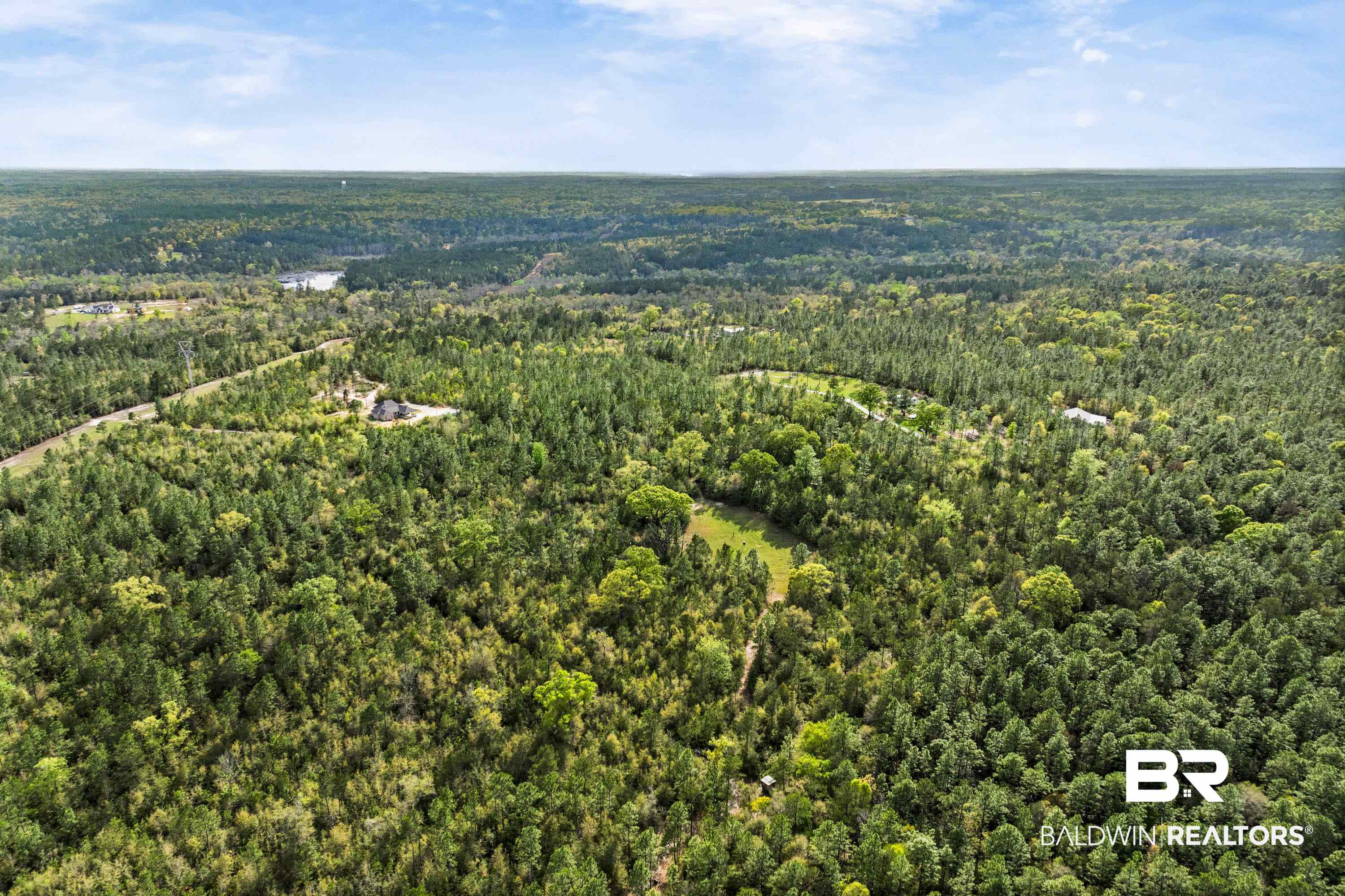7150 Powell Road, Unit LOT 6A Eight Mile, AL 36613 - Photo 33 of 35 Bird's eye view of a heavily wooded area