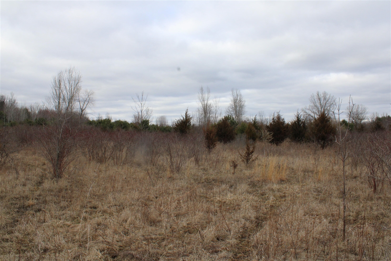 16202 West Burt Road Chesaning, MI 48616 - Photo 33 of 34 Gallery Image 33
