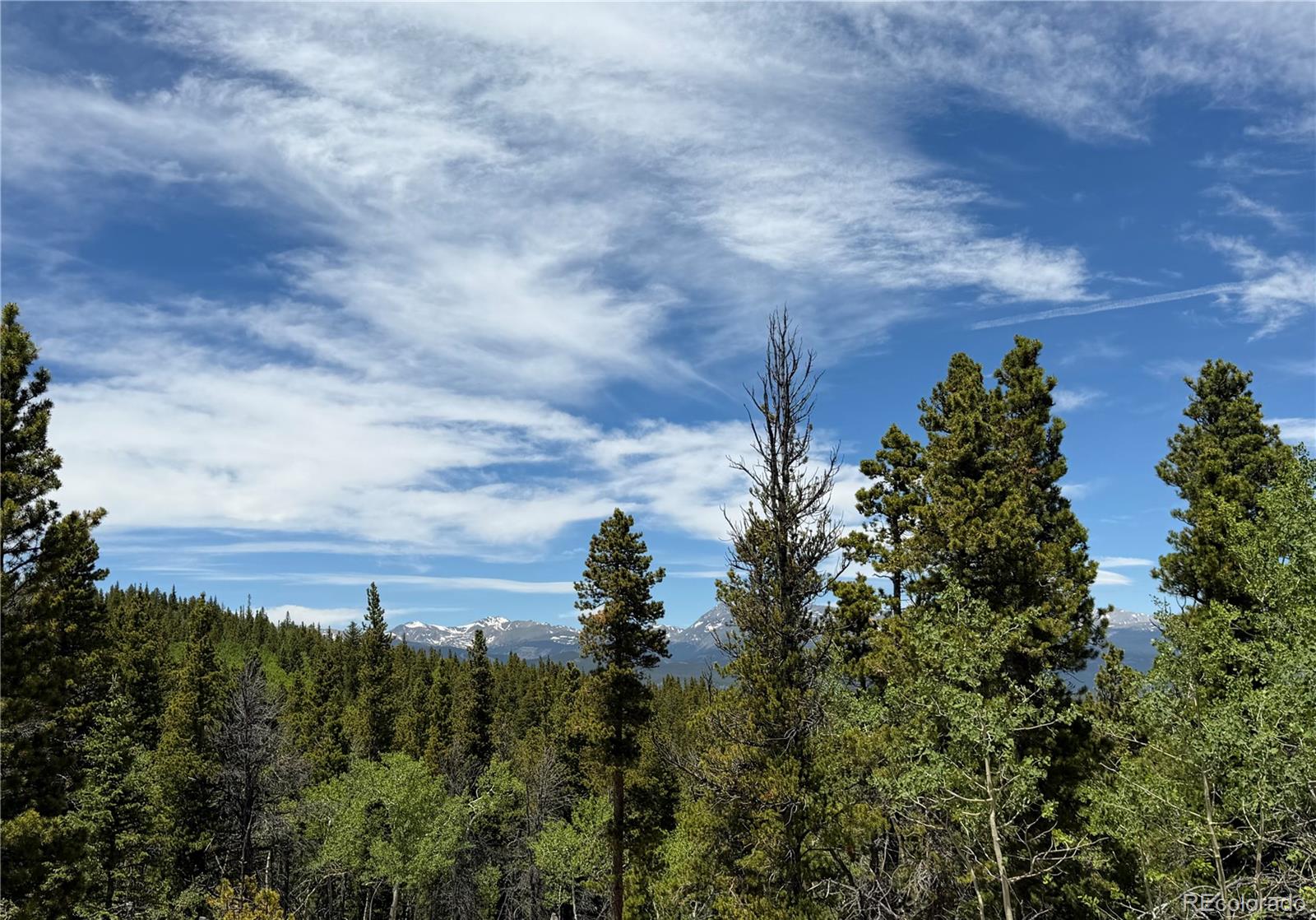 Lot 5 Roosevelt Ridge Black Hawk, CO 80422 - Photo 12 of 17