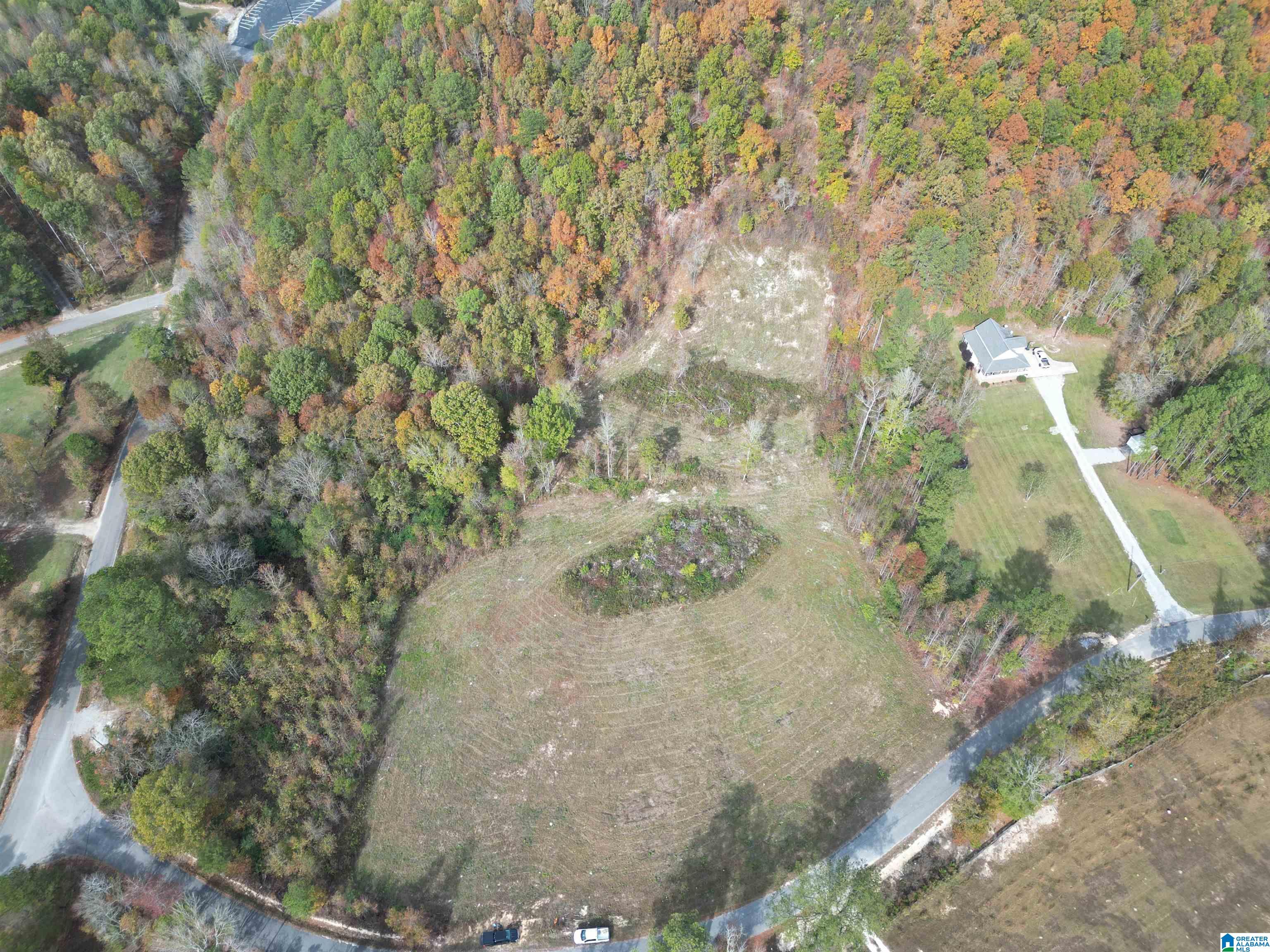 0 Mill Branch Road Jacksonville, AL 36265 - Photo 5 of 6