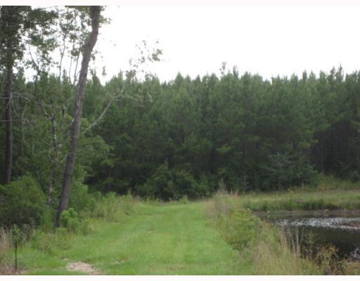 1060 East McHenry Road Perkinston, MS 39573 - Photo 2 of 8 Additional Photo