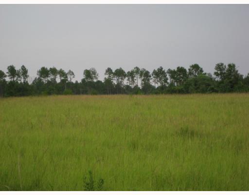 1060 East McHenry Road Perkinston, MS 39573 - Photo 5 of 8 Additional Photo